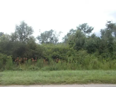 Wildlife Hunting Land