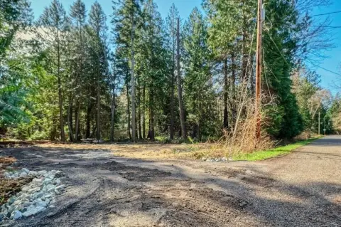 Ready-to-Build Lot in Point Roberts