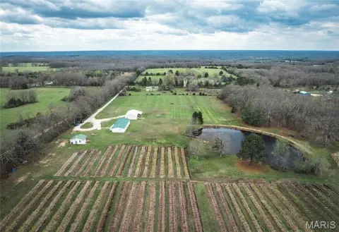 Crawford County Berry Farm Opportunity