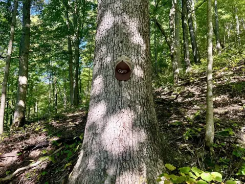 180 Acres of Vacant Land