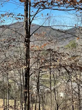 Wooded Lot with Mountain Views