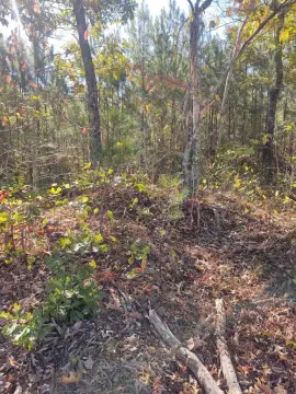 Residential Development Land Tract