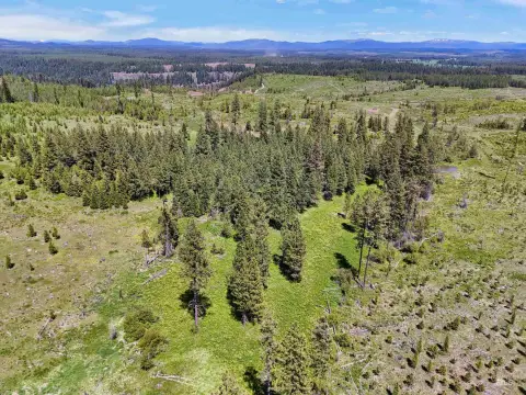 Recreational Timberland Parcel