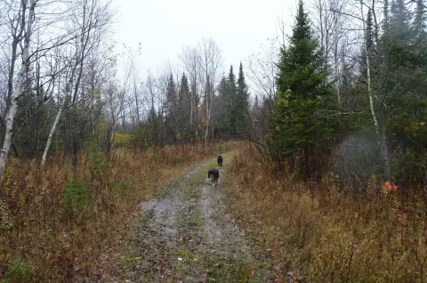 Recreational Land Near Trails, Lakes