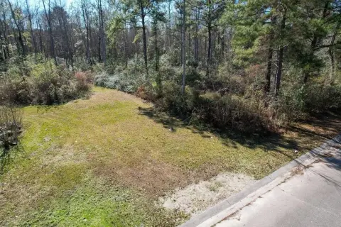 Residential Land in Quitman, Georgia