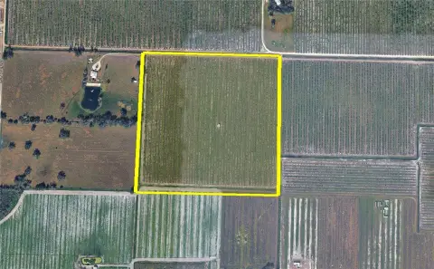 40 Acres South of Arcadia