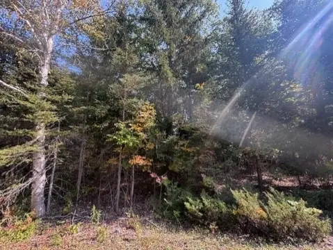 Wooded Lot in Presque Isle