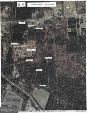 Wooded Hunting Land