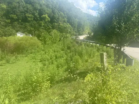 Land on Highway 66, Kentucky