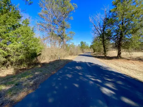 Bankston, Alabama Vacant Land