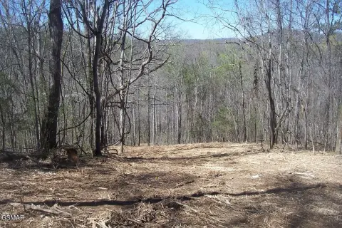 Unrestricted Land in Seymour, TN