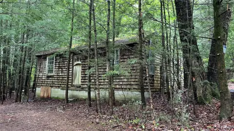 Wooded Lot in Kerhonkson, NY