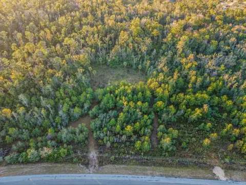 Steinhatchee Land Near Gulf