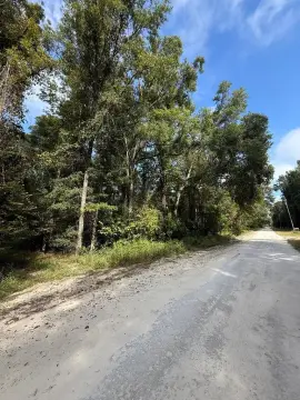 Two Acres Near Suwannee River