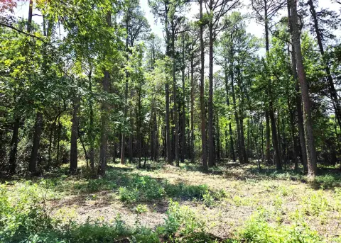 Residential Lot in Mena, AR