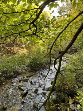 Adventurous 50 Acres in Burnsville