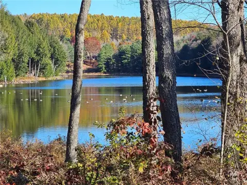 Larchwood Lake Wooded Lot