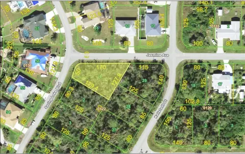 Oversized Lot in Port Charlotte