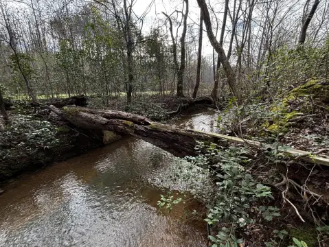Bankston, AL Vacant Land