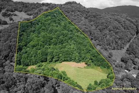 Fenced Mountain Tract with Creek