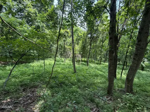 Tazewell, TN Residential Land