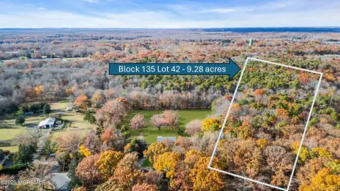 9.28 Acre Wooded Lot