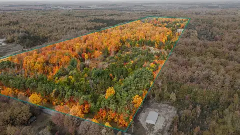 53 Acres of Rolling Land