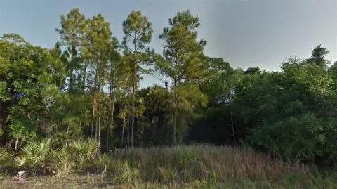 Residential Land in North Port