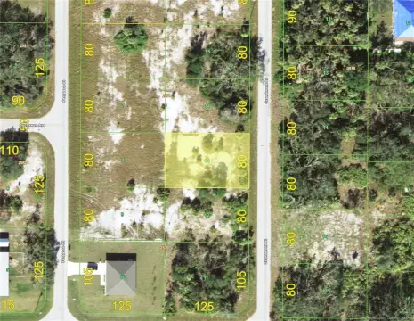 Port Charlotte Land Opportunity