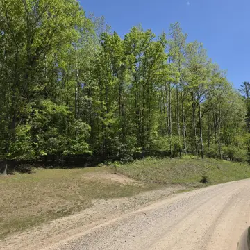 Wooded Land Near Muskegon River