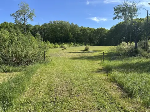 Land Near Luther, Michigan