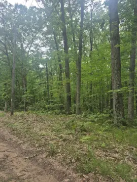 Wooded Corner Recreation Lot