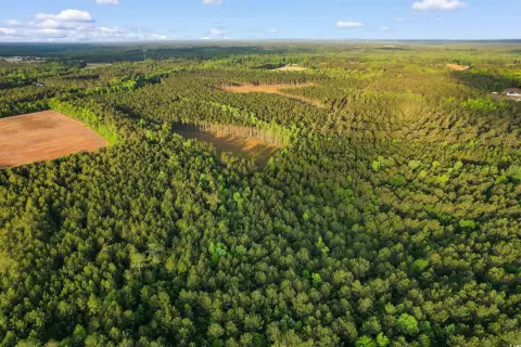 Loris Acreage with Development Potential