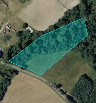 Partially Cleared Land, South Mills