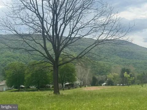 Buildable Homesite Near Shenandoah River