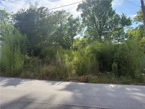 Residential Land in Phenix City