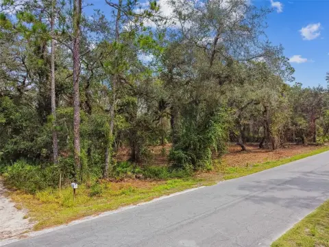 Withlacoochee Riverfront Land Opportunity