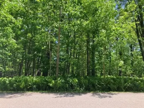 Land Near Crooked and Pickerel Lake