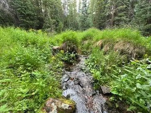 Recreation Land with Trout Stream