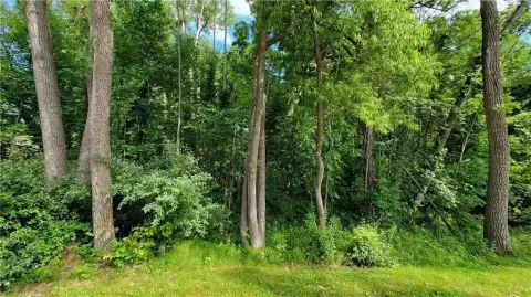 Wooded Land Near Honeoye Lake