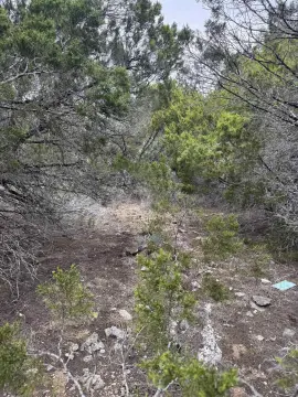 Residential Lot in Lago Vista