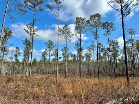 Secluded Acreage in Salem, AL