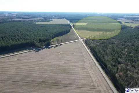 Prime Commercial Acreage Near I-95