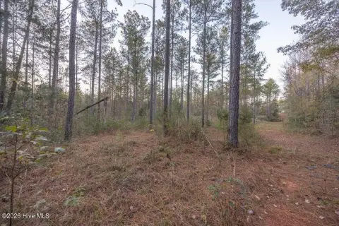 Wooded Hunting Land