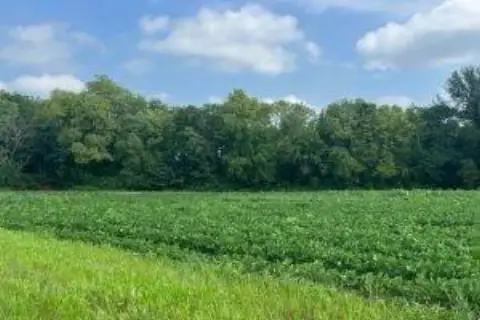 Rolling Farmland Acreage with Creek