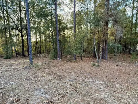 Dunnellon Land with River Access