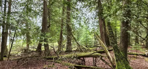 Lake Huron Waterfront Land