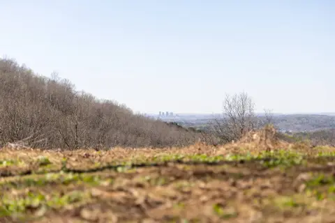 Large Vacant Land in Birmingham
