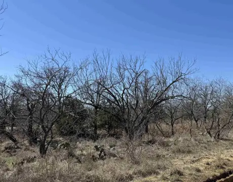 Residential Land Near Lake LBJ