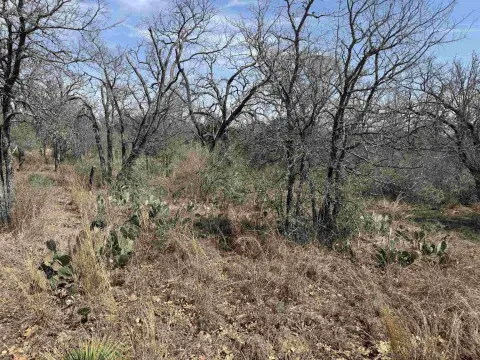 Residential Lots Near Lake LBJ
